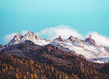 澳门百家乐平台：在澳门风云中体验极致赌桌魅力